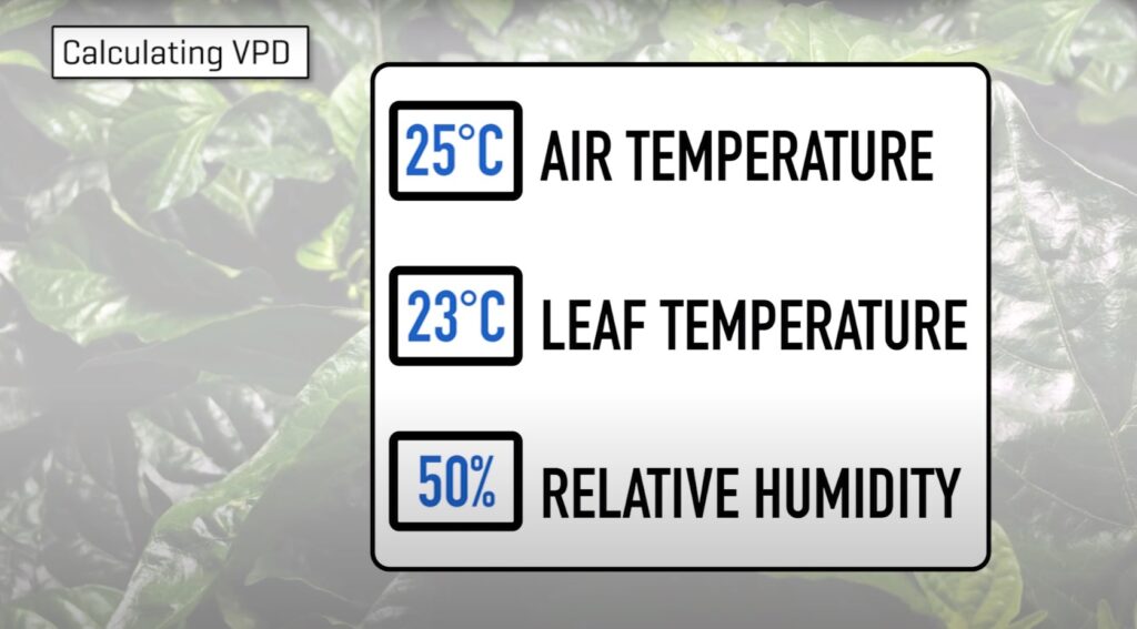 an image explaining how to calculate VPD with particular air and leaf temperature, and relative humidity percentage