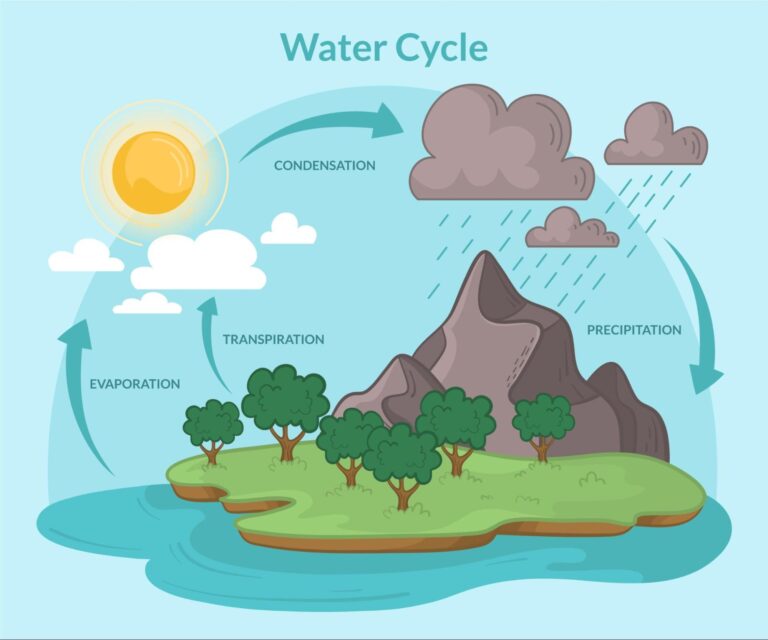 how-does-the-water-cycle-affect-weather-and-climate-a-guide