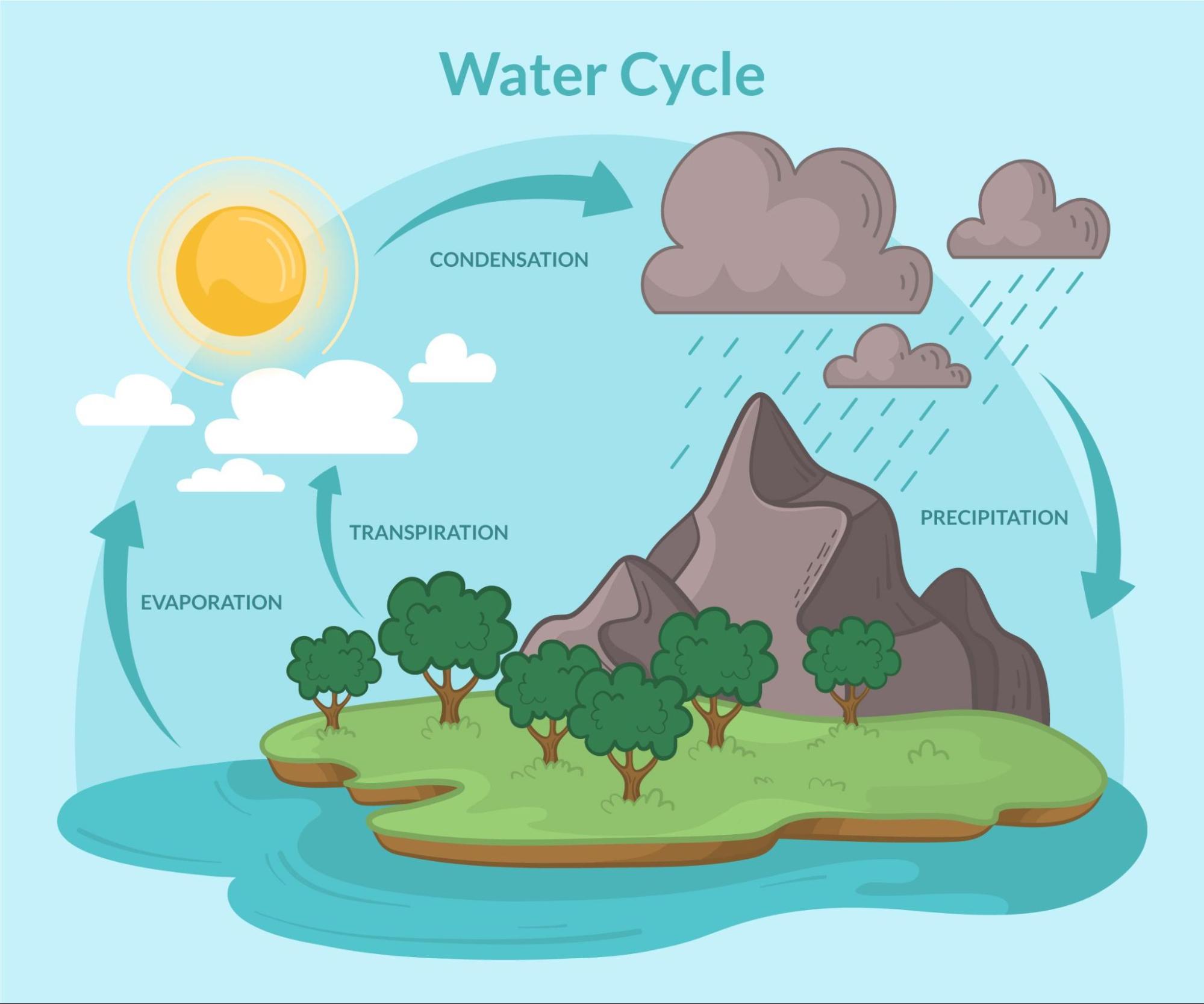 A picture showing the water cycle