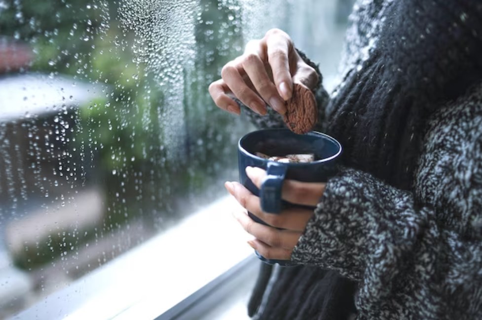 close-up hands in warm knitted wear dipping a cookie into hot coffee by the window with raindrop