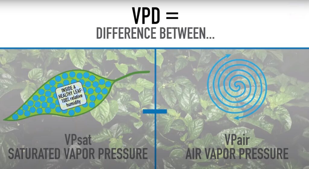 an image explaining VPD as a difference between saturated vapor pressure and air vapor pressure (Vapor Pressure Deficit)