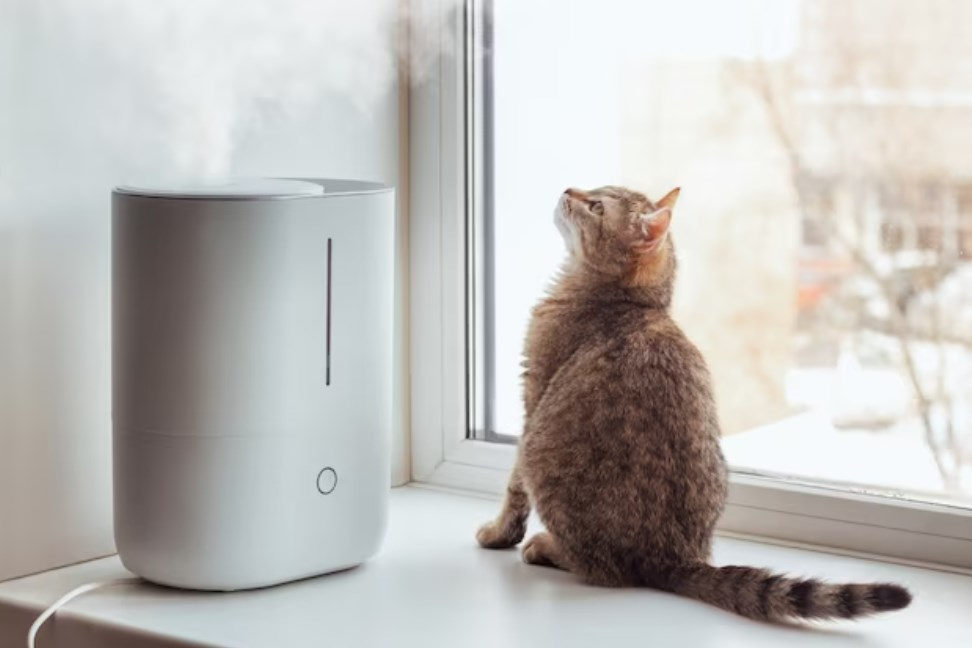 a young tabby cat sitting on the windowsill and looking at the steam from the white air coming from the white humidifier