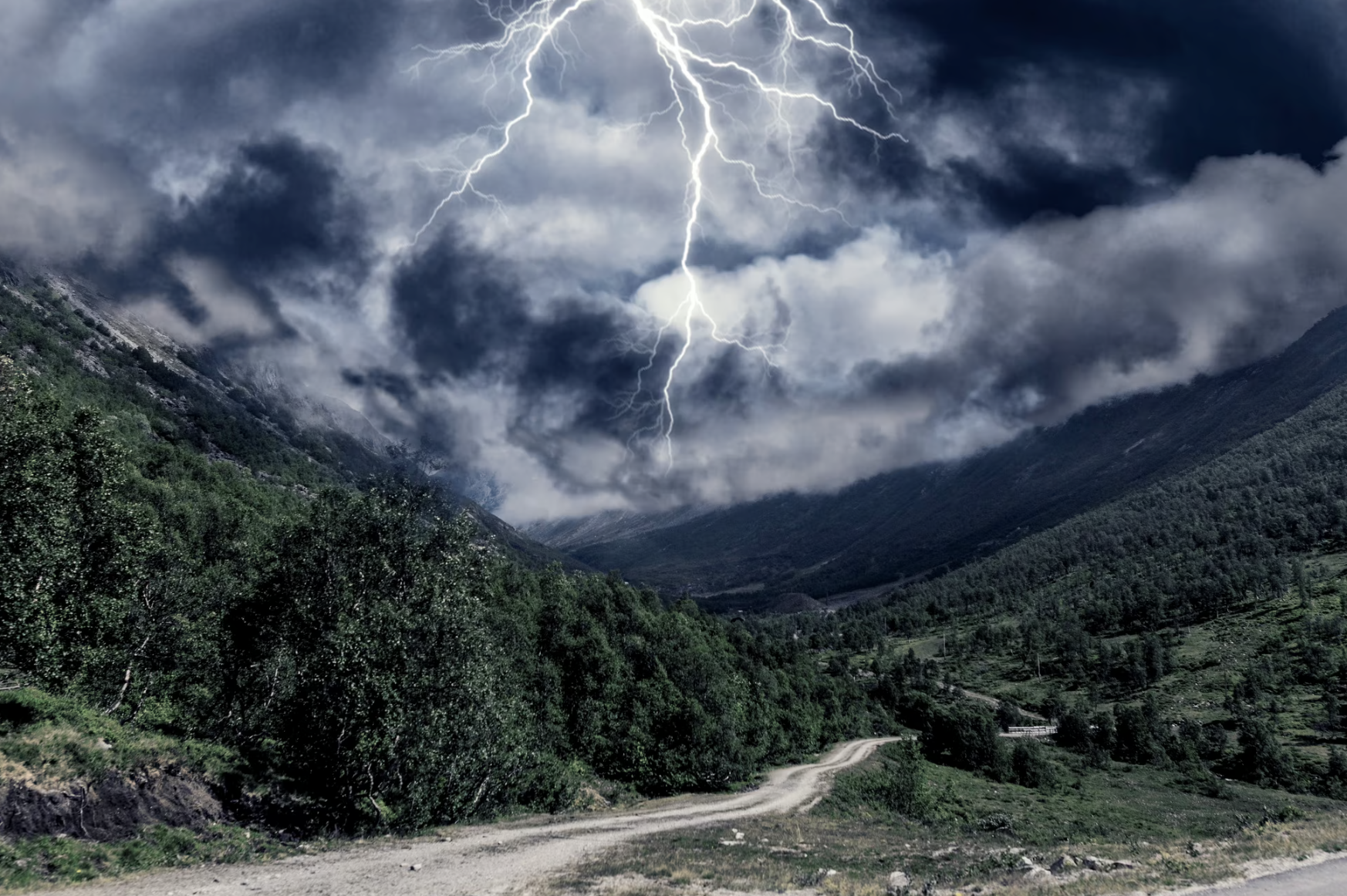 Thunderstorm in the woods.